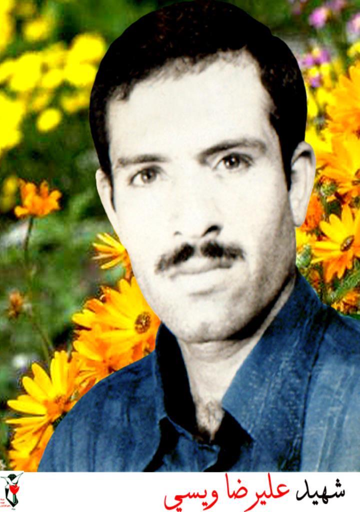 فاقد تصویر